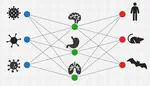 3y postdoc role available in computational biology!