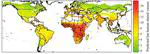 Quantifying global drivers of zoonotic bat viruses: a process-based perspective