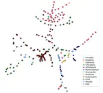 Phylogenies as graphs: structured neural networks improve host origin predictions from paramyxovirus sequences