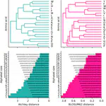 Evaluating the utility of amino acid similarity-aware kmers to represent TCR repertoires for classification